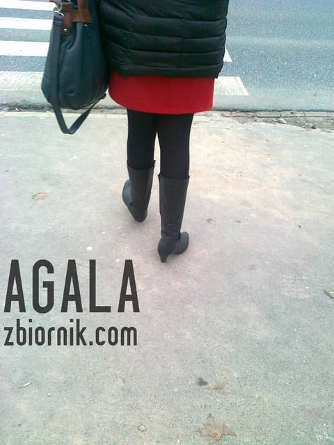 070120132722cz.jpg - AGALA