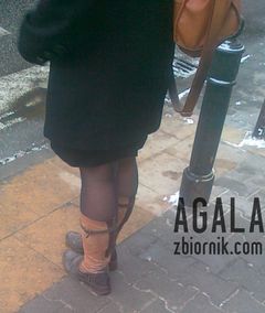 090120132790cz.jpg