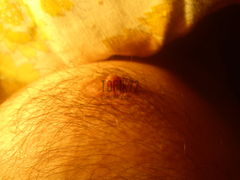 cycu