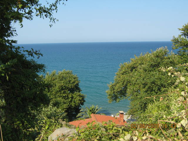 krinio