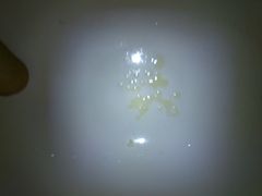 DSC_0119.JPG