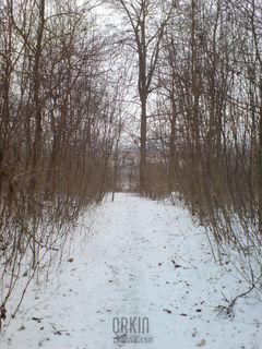 ścieżka