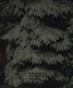 A może są chętni na nocny spacer?