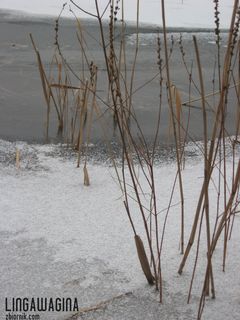 o 10.02.2013 080.jpg