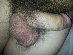 penisek