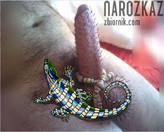 W cieniu kaktusa ;)
