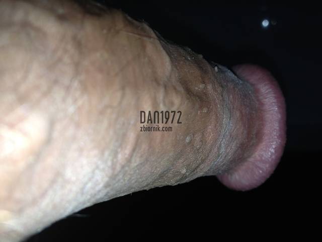 dan1972