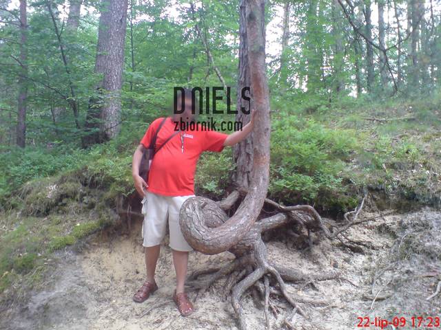 d@niels