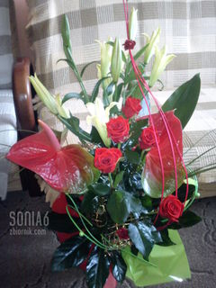 kwiaty :-)