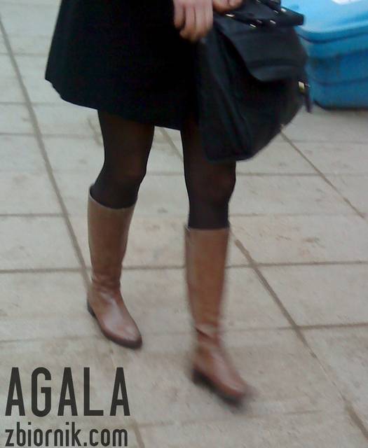 DSC00128v.jpg - AGALA