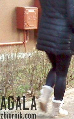 DSC00242L.jpg