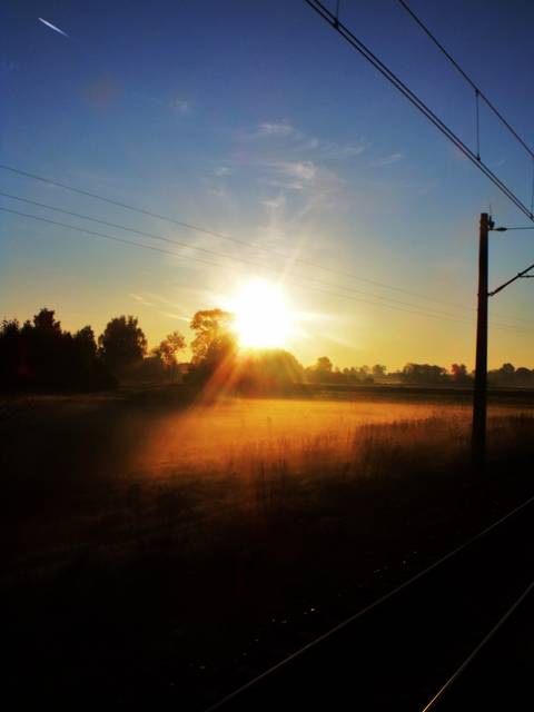 linie - illsick