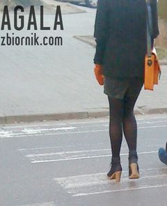 DSC00643cz.jpg