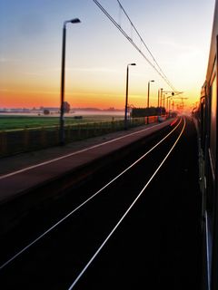 pkp