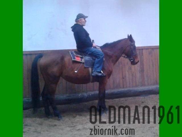 Koniki - oldman1961