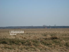Wycieczka 17.03.13.jpg