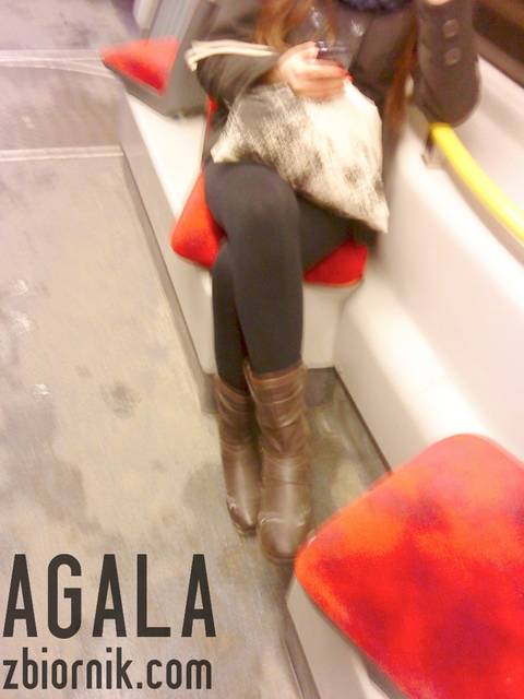 DSC01007L.jpg - AGALA