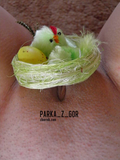 Gniazdeczko :))) - parka_z_gor