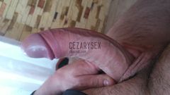 ptaszek