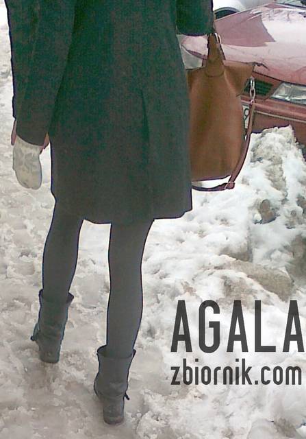 060420133600v.jpg - AGALA