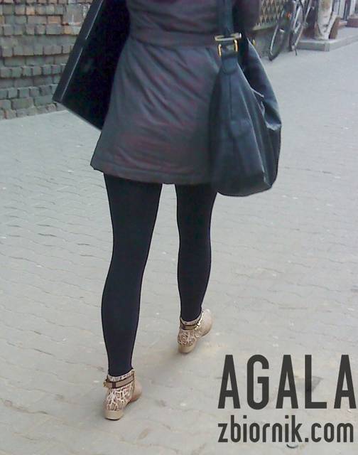 DSC01457L.jpg - AGALA