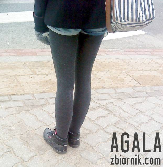 DSC01581v.jpg - AGALA