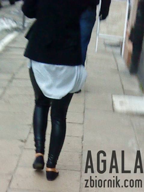 DSC01520L.jpg - AGALA
