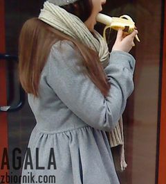 DSC01630v.jpg