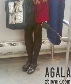 DSC01620cz.jpg