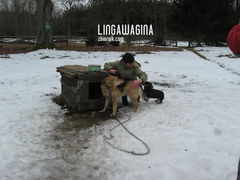 W. 14.04.13 017.jpg