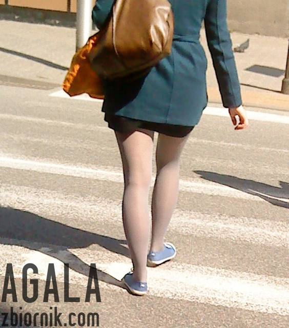 DSC01860v.jpg - AGALA