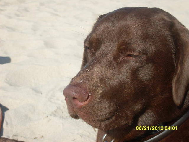rockafella