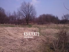 już niedługo