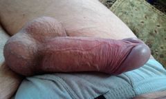 IMAG0141.2.jpg
