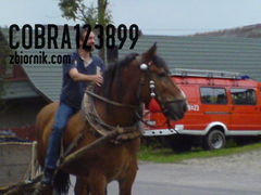 DSC00195.JPG