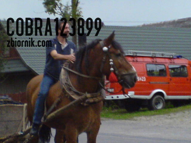 cobra123899