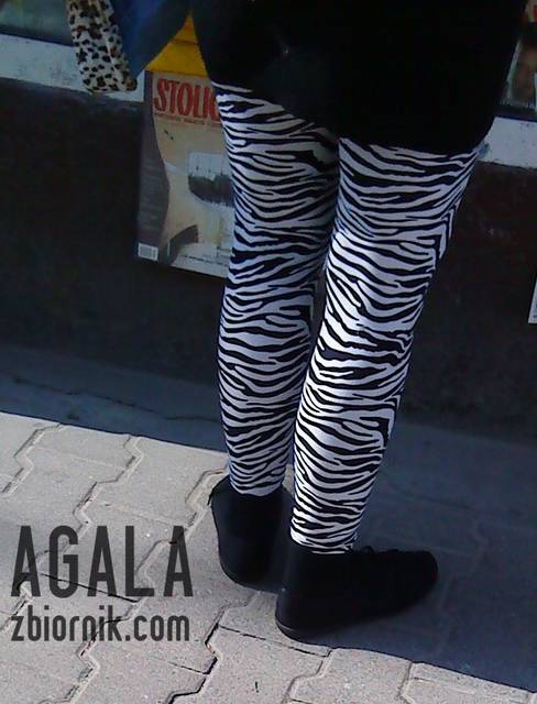 DSC02216L.jpg - AGALA