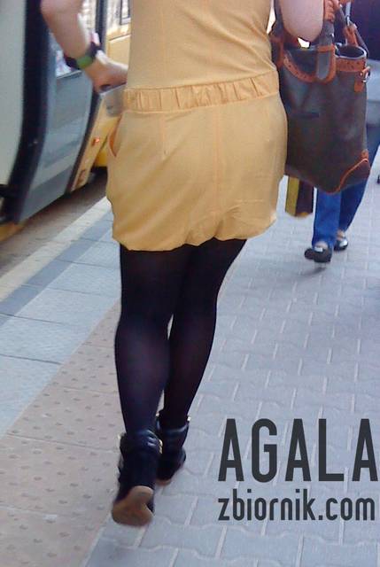 DSC02204cz.jpg - AGALA