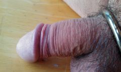 IMAG0164.2.jpg