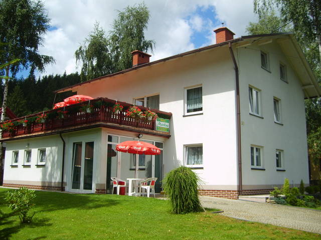Party_Wisla