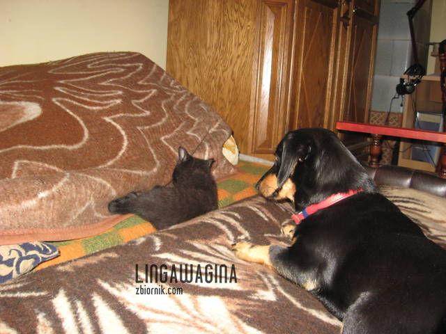 W.27.05.13 011.jpg - lingawagina