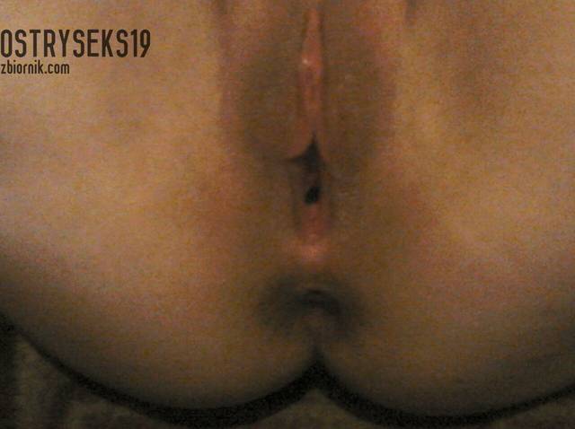 ostryseks19