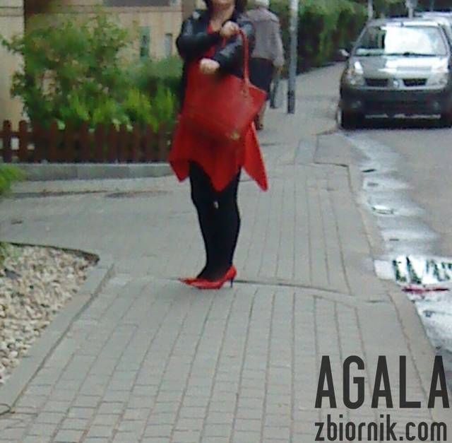 DSC02848cz.jpg - AGALA
