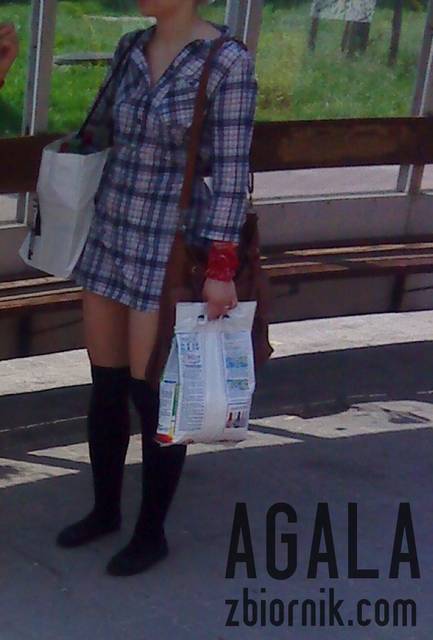 DSC02883odj.jpg - AGALA