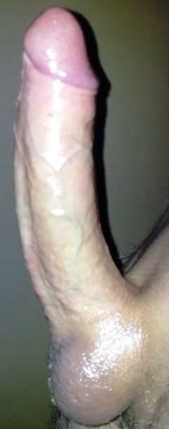 Penis.jpg