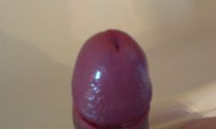 IMAG0049.jpg