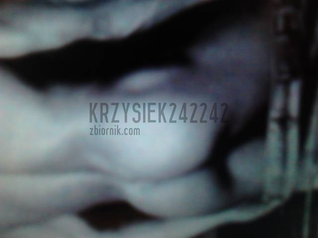 Krzysiek242242