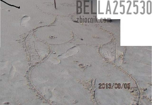 bella252530