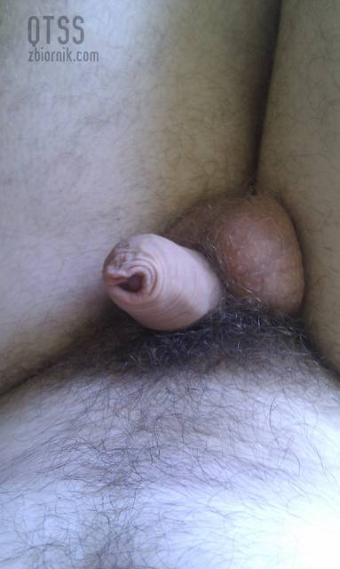 moj - qtss