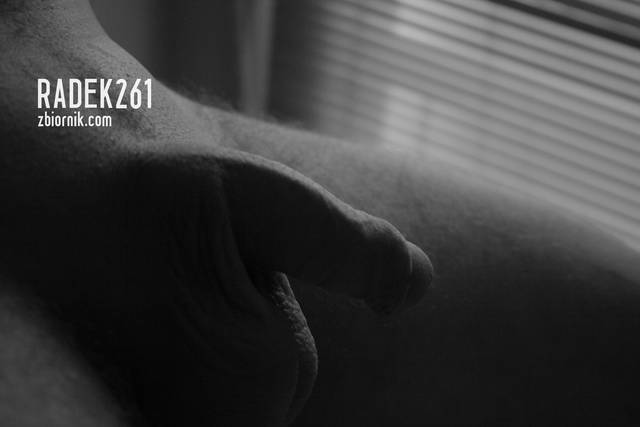 Radek261